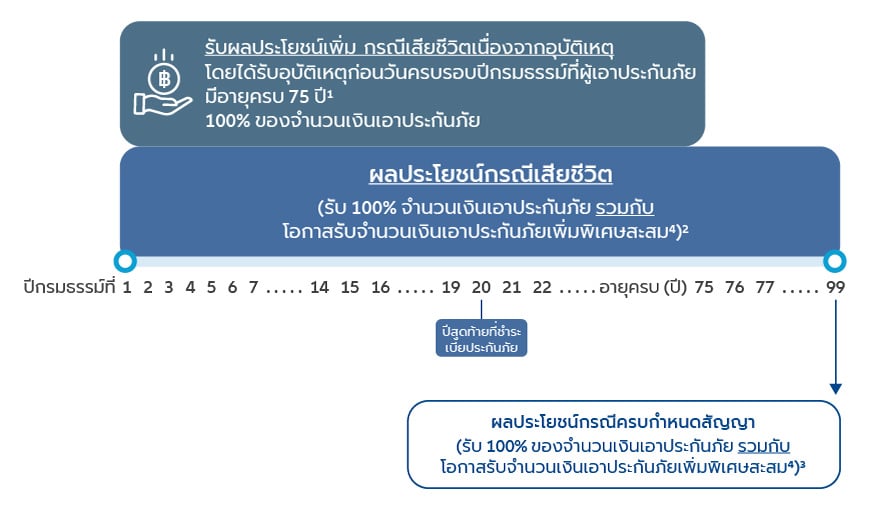 แผนภาพแสดงผลประโยชน์และความคุ้มครองจากสัญญาหลัก มาย โฮล ไลฟ์ A99/20 (มีเงินปันผล)
